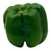 Green Pepper Large