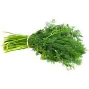 DILL BUNCH