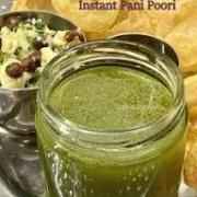 Pani Puri Concentrate