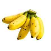 BABY BANANA