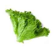 Lettuce