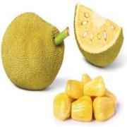 Jackfruit