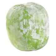 WINTER MELON