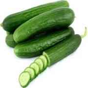 PERSIAN CUCUMBER