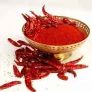 DR CHILLI RESHAMPATTI