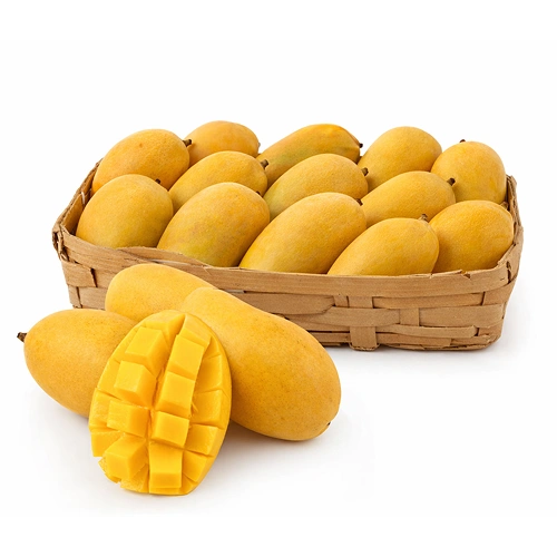  Fresh Kesar Mango 1 Case 8-10 Pcs