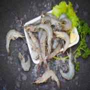 Tiny Shrimp Tray