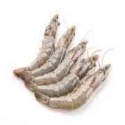 Raw Shrimp Block With Head