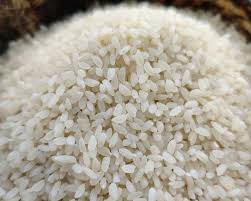 Dharti Jeera Samba Rice 4 LBS