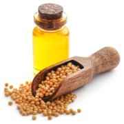 Bansi Mustard Oil 17.5 OZ