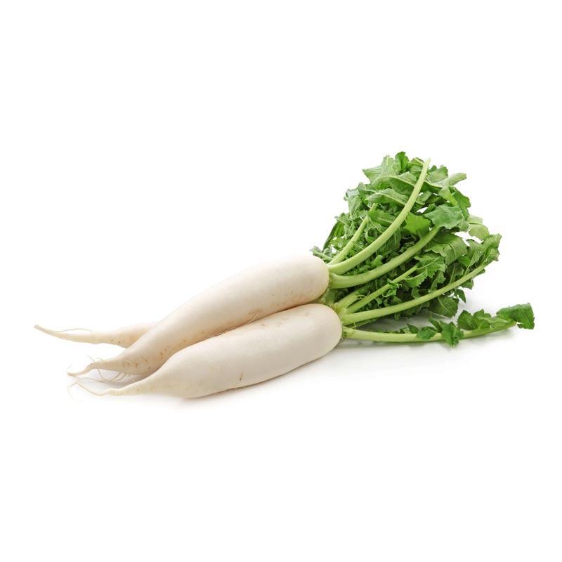 RADISH 1 LBS