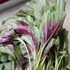 RED LEAVES 1 LBS