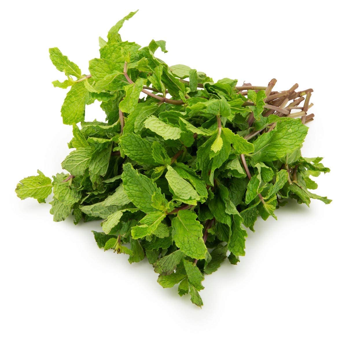 FRESH MINT LEAVES 1 PACK