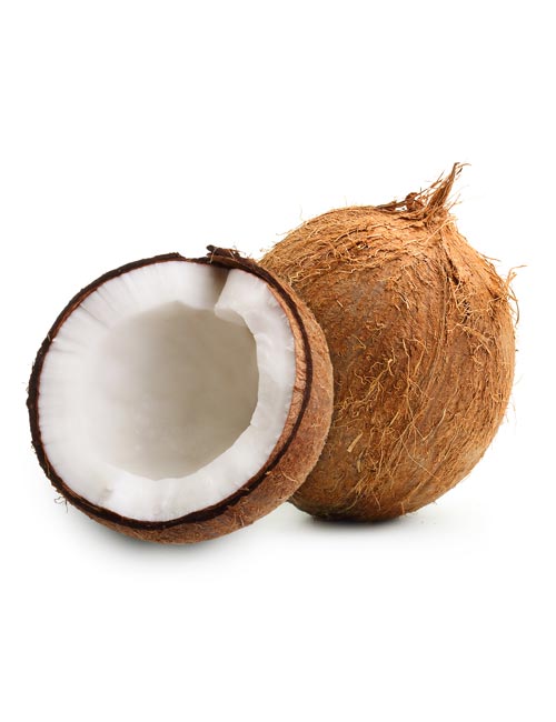 Whole Coconut NON EDIBLE  1 PACK