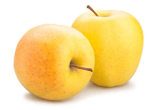 GOLDEN APPLE 1 LBS