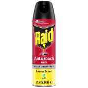 RAID ANT & ROACH LEMON 17.5 OZ