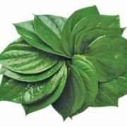 Pan Leaves 1 EACH