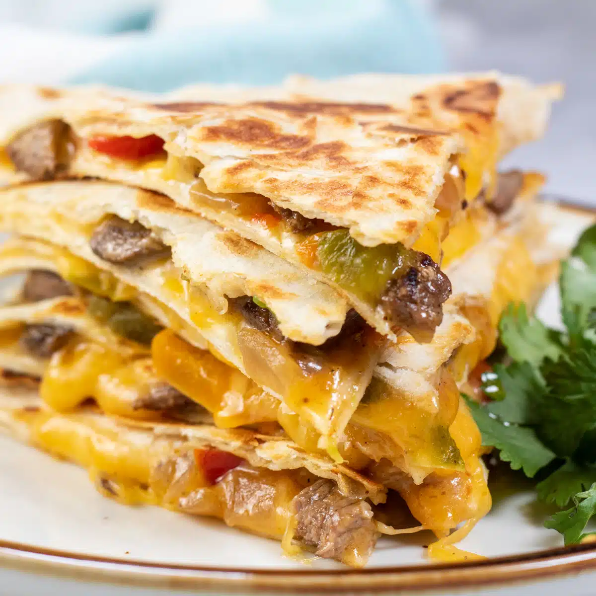 MEXI DILLA QUESADILLA HIMALAYAN DELIGHT 340 GM