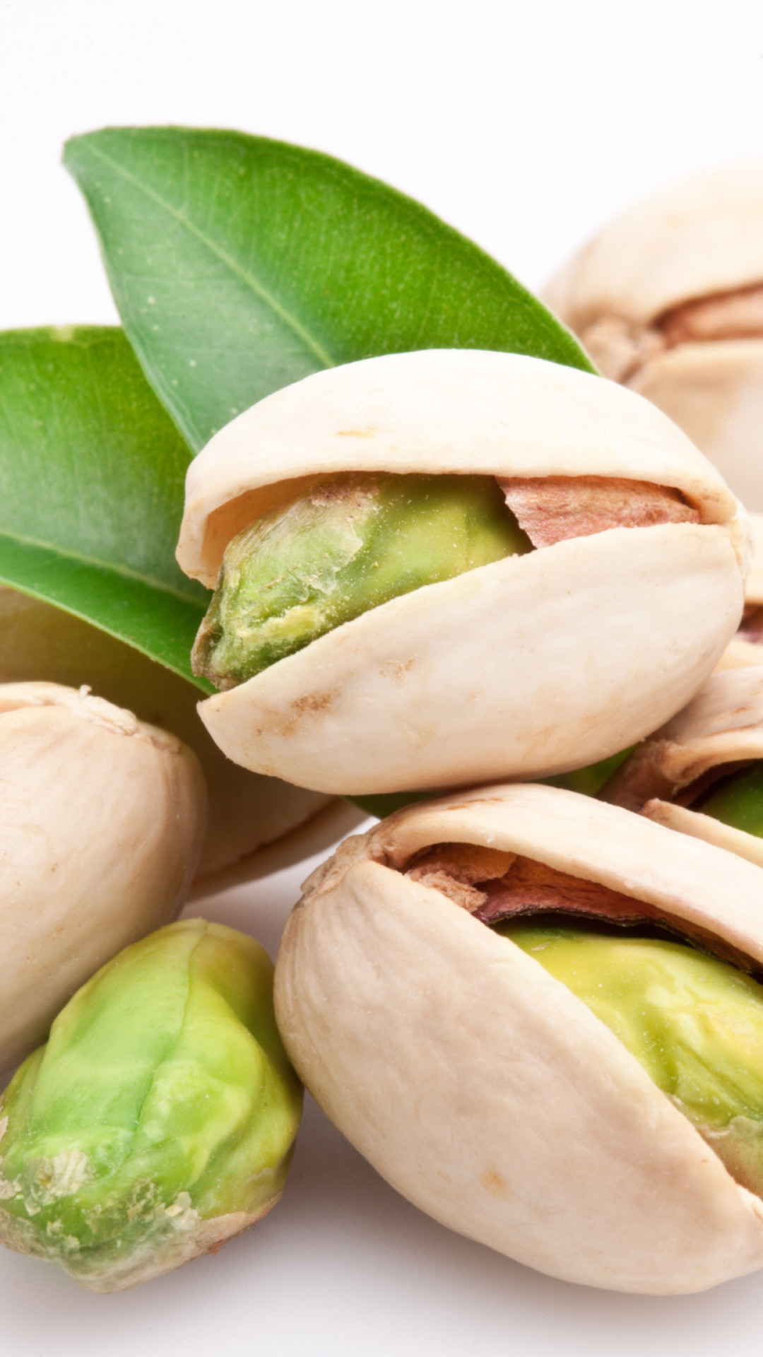 SUN DELIGHT PISTACHIO GREEN 100 GM