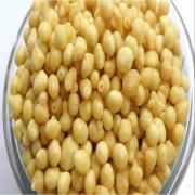 Jain Foods Boondi 12 OZ