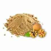 EXOTIC CHIKOO POWDER 100 GM