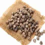 VEDIC MORINGA LEAVES 50 GM