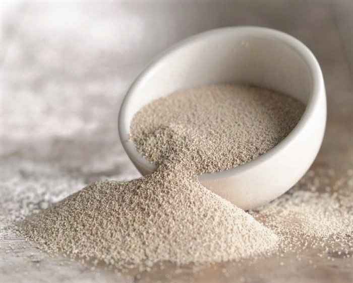 Dharti Dry Yeast  100 GM
