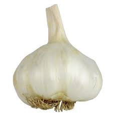 Garlic 5 PACK