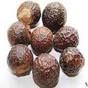 HERBI ORG ARITHA WHOLE 100 GM