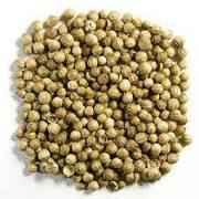 Coriander Seed 8 OZ