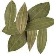 Bay Leafs   INDIAN 1 PACK