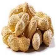 Raw Peanut 2 LBS
