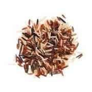 Organic Mixed Wild Rice 1 LBS