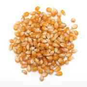 Poppjng Corn 794 GM