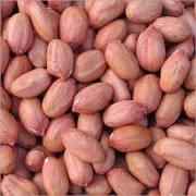 AA.RAW PEANUTS 400 GM