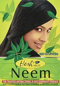 HESH NEEM LEAVES POWDER 100 GM