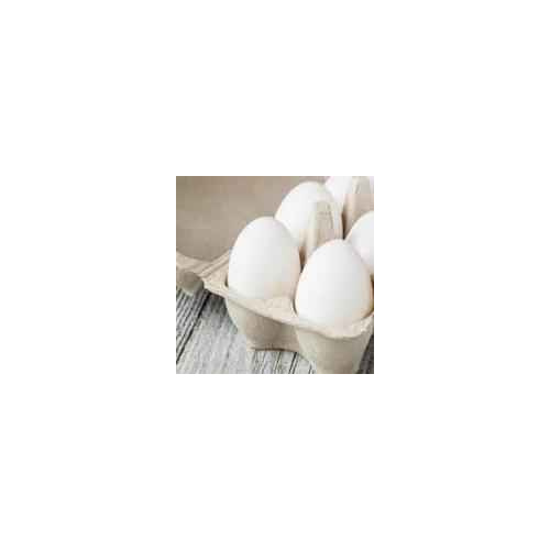 Nelms Medium White Eggs 1 DOZEN