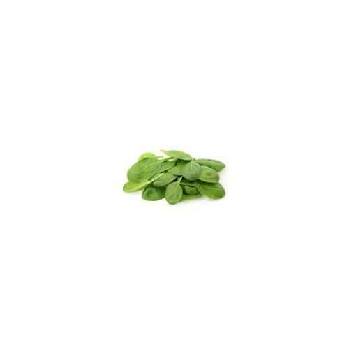 BABY SPINACH 170 GM