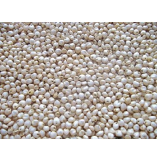 JOWAR MILLET MANNA 2 LBS