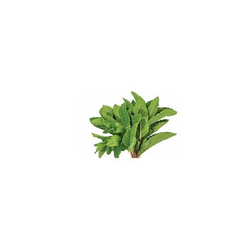 MINT/MENTA 1 LBS
