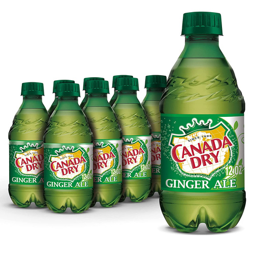 CAN DRY GINGER ALE 12 PACK