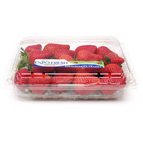 EXPO FRSH STRAWBEERRY 16 OZ