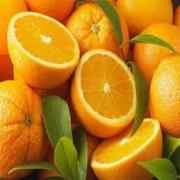 NAVEL ORANGE 1 LBS