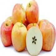 GALA APPLES SMALL 1 COUNT
