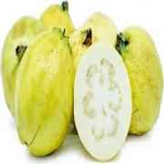 MEXICO GUAVA 1 LBS