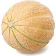 HONEYDEW SM 1 COUNT