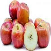 Fuji Apple 1 COUNT