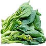 BABY BOK CHOY SU 1 COUNT