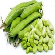 BEANS FAVA 1 LBS