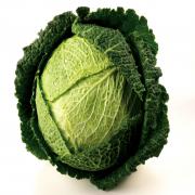 SAVOY CABBAGE 1 COUNT